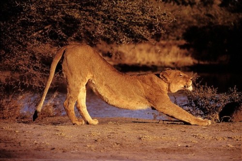 Media_httpiimgurcompm_nhgkd